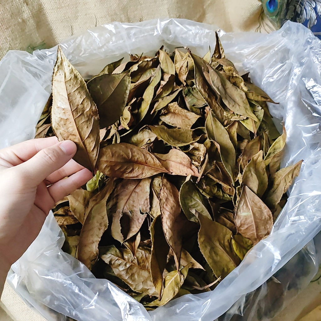 (100G) - LÁ CHÈ XANH SẤY LẠNH KHÔ XANH TỰ NHIÊN