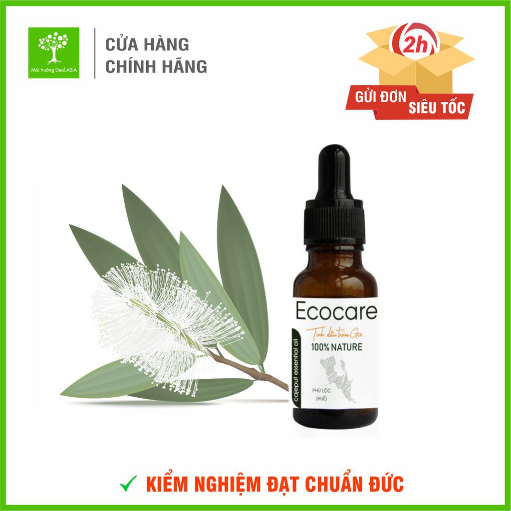 [NHẬP MÃ PTUAECO10] Tinh Dầu Tràm Gió Nguyên Chất 100% ECOCARE - Chai 10-20ml