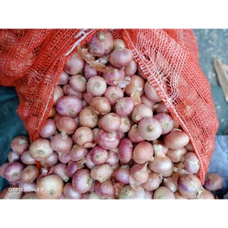 Hành indo khô nhỏ
