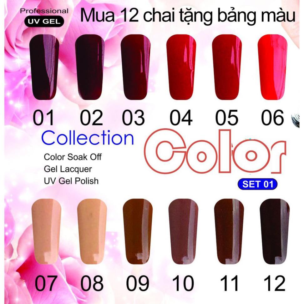 Bộ 12 chai gel (có bản lẻ ) - Collection 01