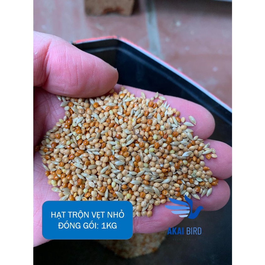 [1KG] Hạt Trộn Vẹt Nhỏ, Hạt Mix Cho Yến Phụng, Lovebird...