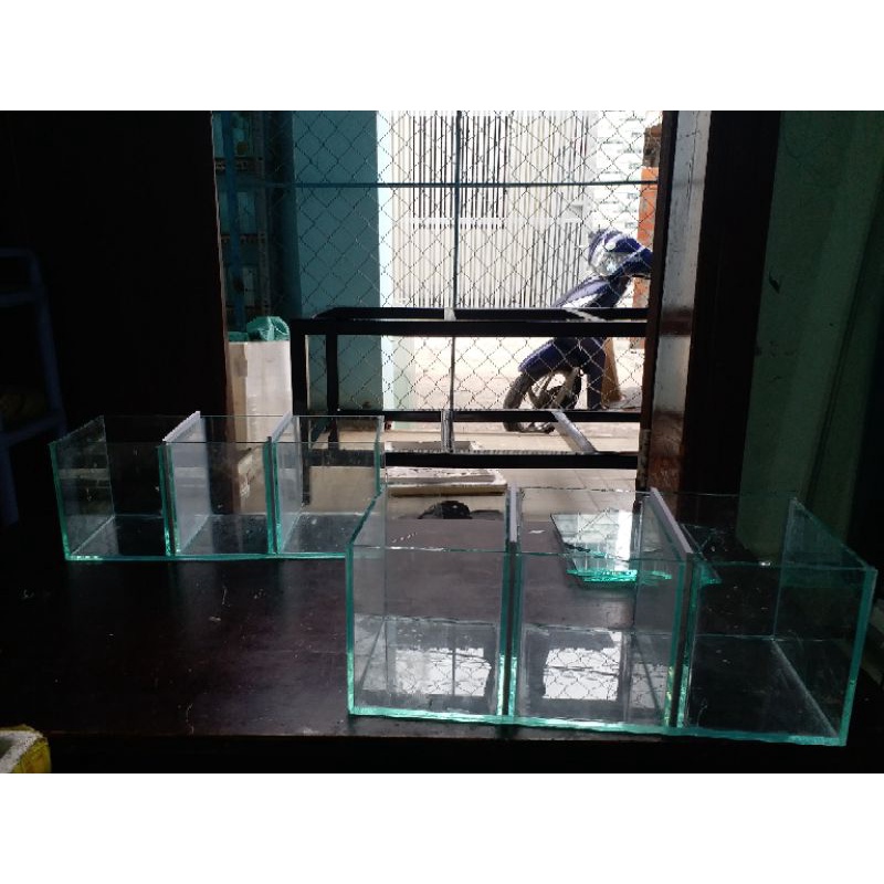 Hồ Cá Betta 03 ngăn