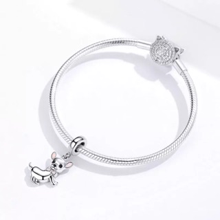 Charm chú chó đáng yêu