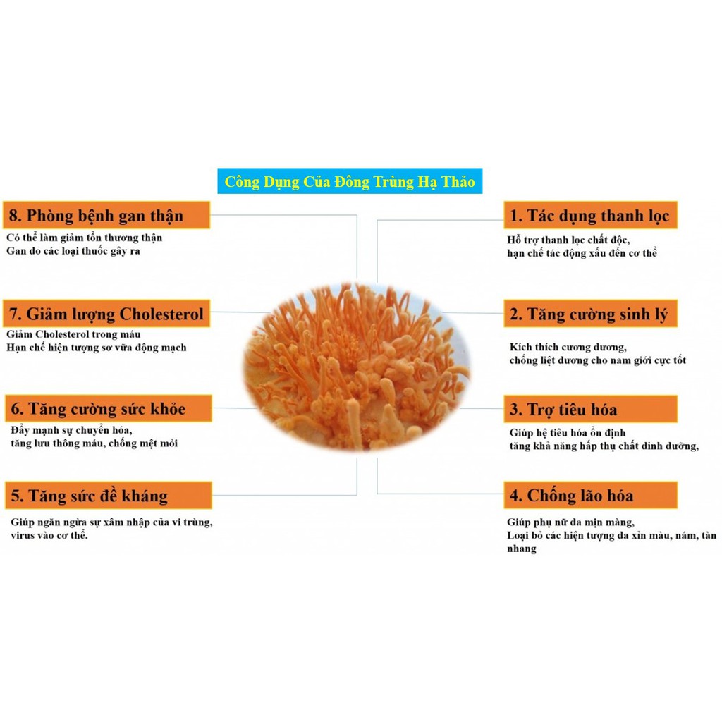 Đông trùng hạ thảo Thiên Ân bột dinh dưỡng 300g(12 gói x25g)