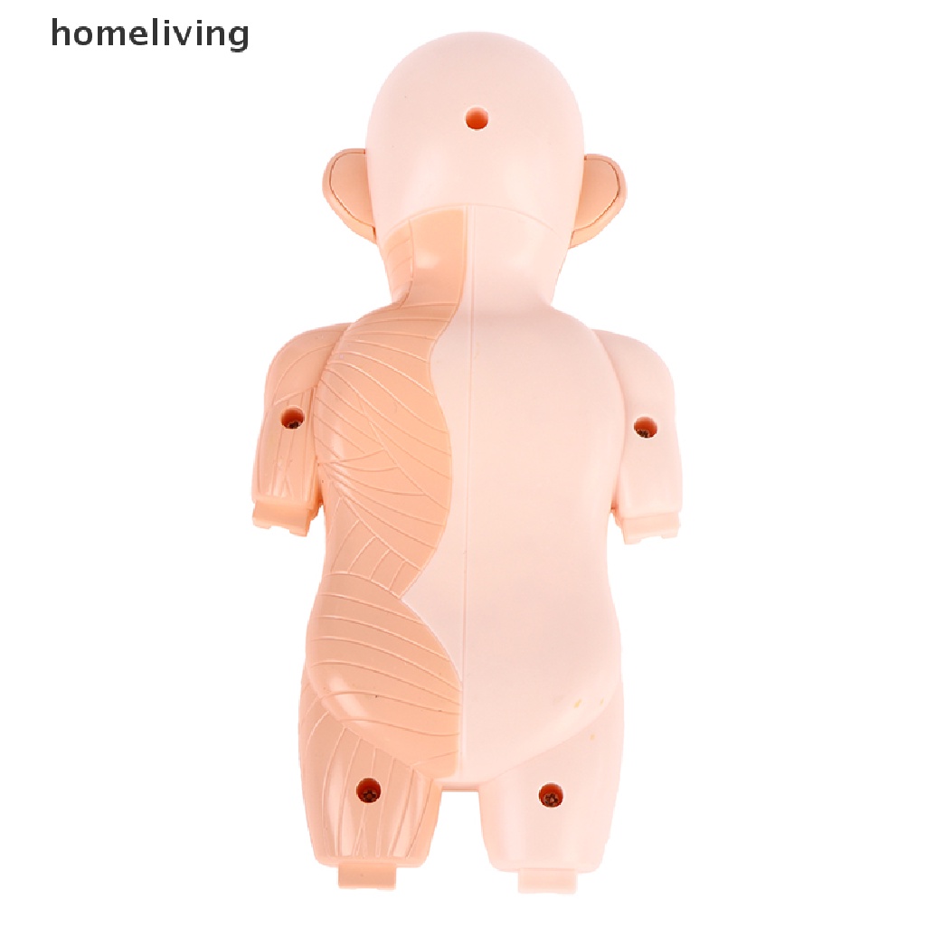 Bộ Đồ Chơi Xếp Hình Cơ Thể Người 3d Montessori