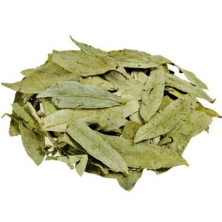 500g lá phan tả diệp