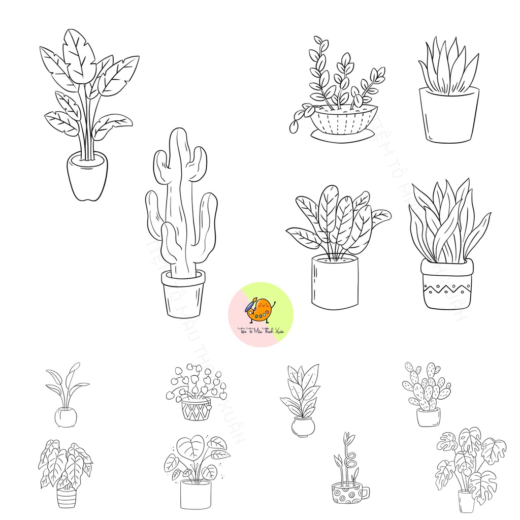 Set 10 Tờ Tranh Tô Màu Chậu Cây Tô Màu Sáp, Màu Chì - Tiệm Tô Màu Thanh Xuân