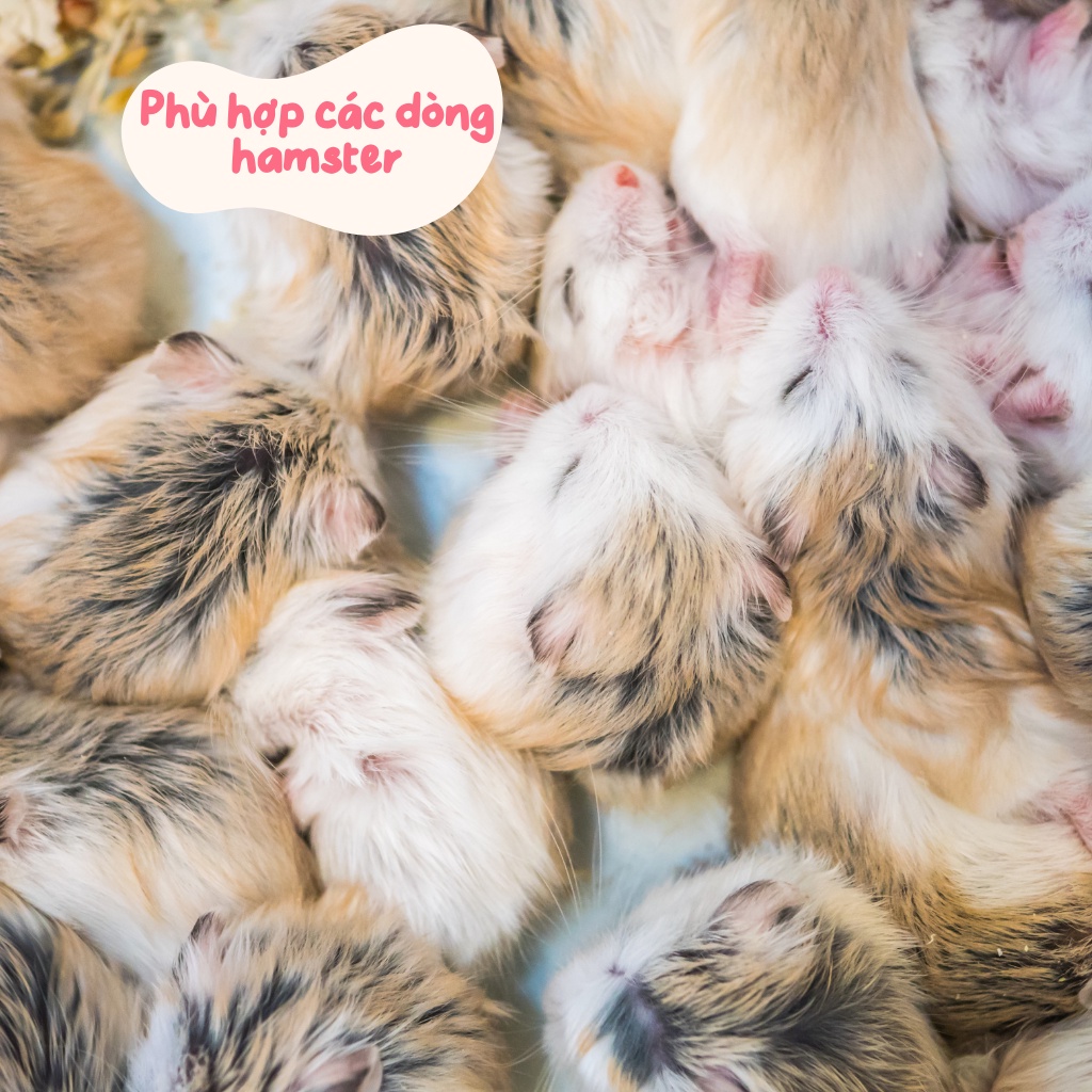 Mài răng hamster, BÁNH BÒ XANH bổ sung chất xơ