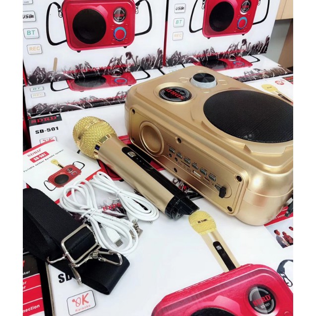 Loa Bluetooth Karaoke SDRD SD-501