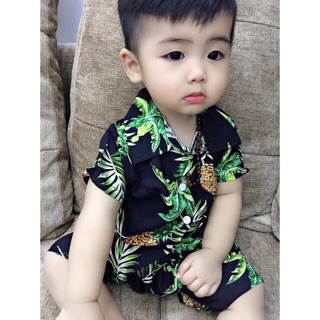 Conbo 6 bộ trái cây