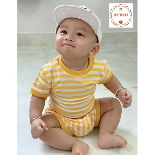 Bộ cộc vằn vàng glct