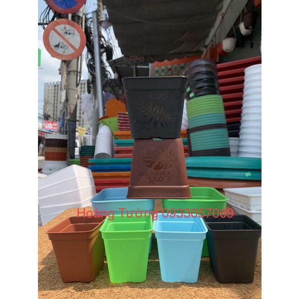 Chậu vuông 7cm, 10cm trồng sen đá, cây kiểng nhỏ