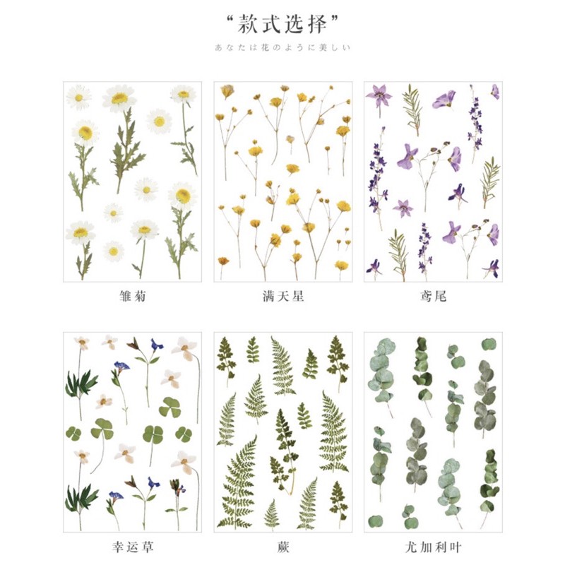 Sticker - Hình dán mẫu hoa  có 2 dạng: 1 tấm rời và set 10 tấm