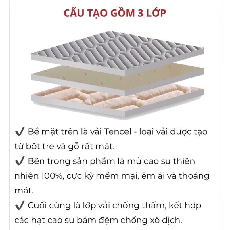 Chiếu Điều Hòa Cao Su Non Tencel Latex Hàng Nhập Khẩu ( đủ kích cỡ )