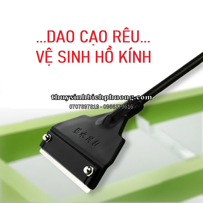 DAO CẠO RÊU MINI GIÁ RẺ - DỤNG CỤ VỆ SINH BỂ CÁ, HỒ CÁ THỦY SINH