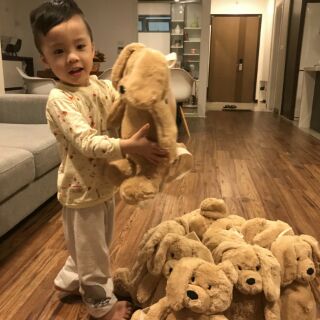balo gấu xuất dư