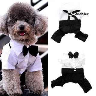 Bộ Đồ Hóa Trang Cho Cún Cưng Phối Dây Đai Và Thắt Nơ Màu Đen Trắng Dễ Thương