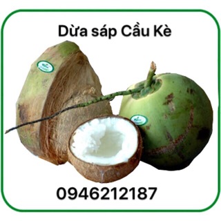 Dừa sáp đặc sản Cầu Kè Trà Vinh