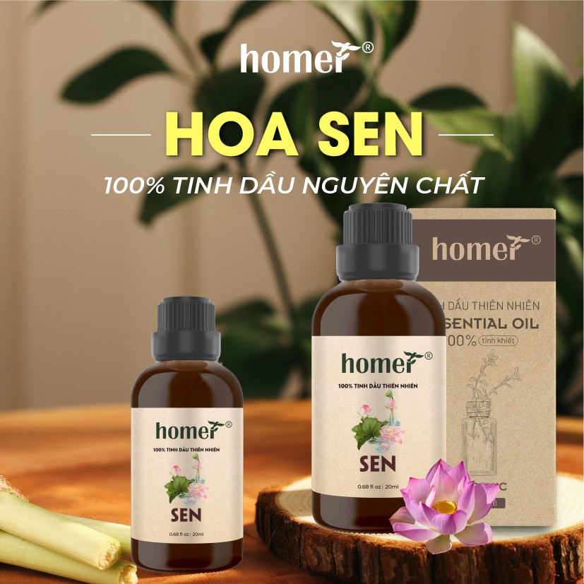 Tinh dầu Sen Việt Nam Homer 500ML/ 1L - Lotus Essential Oil - đạt chuẩn chất lượng kiểm định