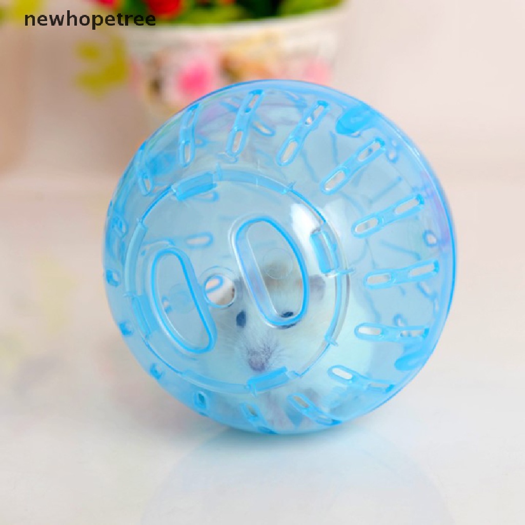 newhopetree Pet Hamster Ball Toys Exercise Running Balls for Chinchilla Rat Mouse Products OIK