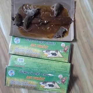 Bẫy keo dính chuột An Phát(sét5 miếng)