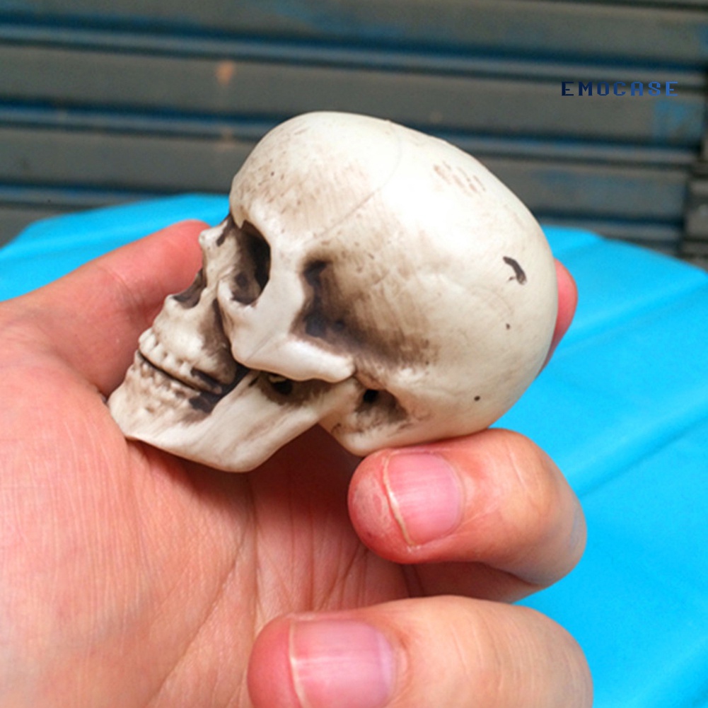 Đầu Lâu Nhựa Mini 5cm Trang Trí Halloween