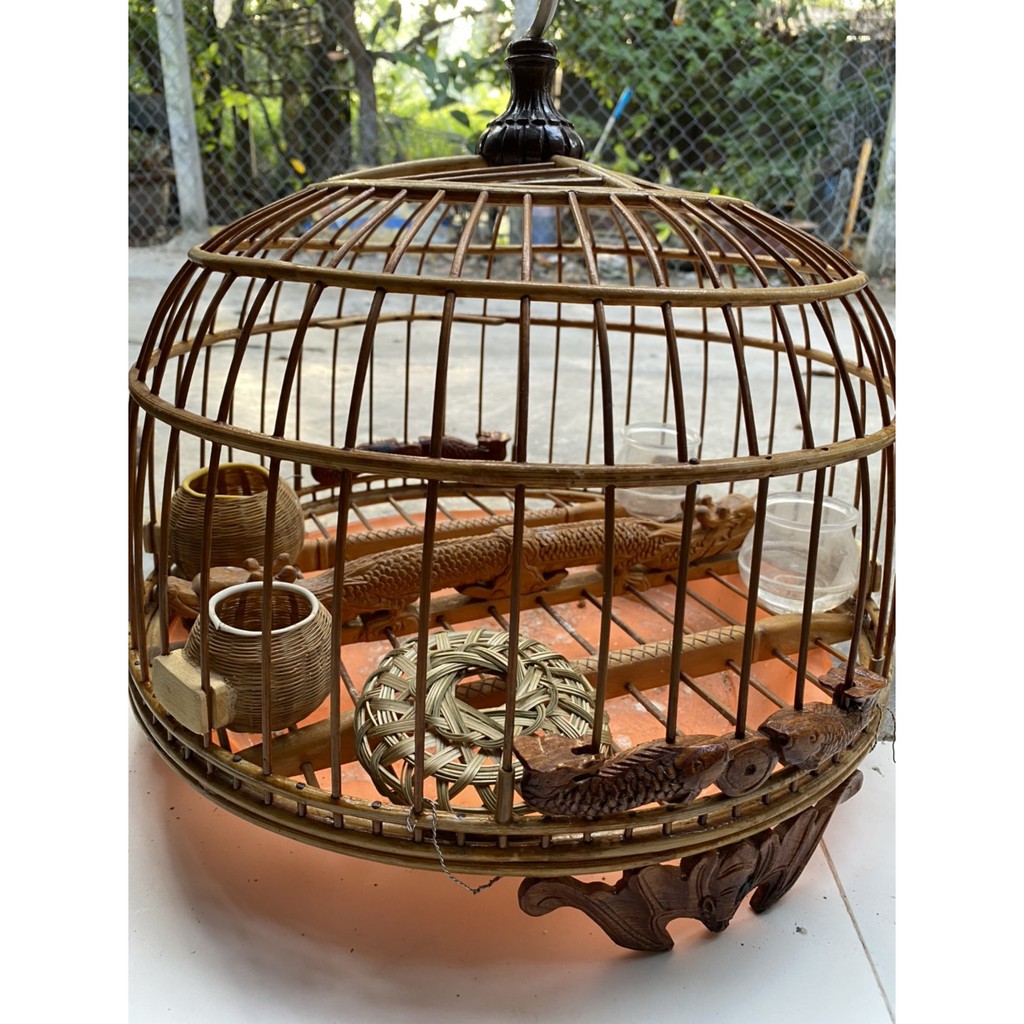 RẾ LỒNG CHIM CU GÁY ĐỨNG