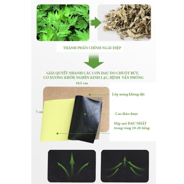 MIẾNG DÁN CAO NGẢI GIẢM ĐAU XƯƠNG KHỚP NHỨC MỎI | BigBuy360 - bigbuy360.vn