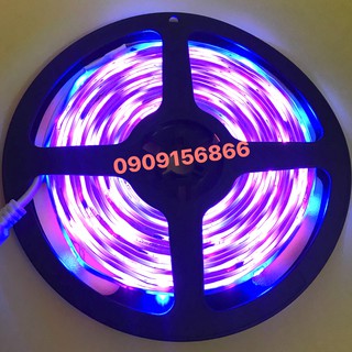Led chạy đuổi 1903 full color 12v