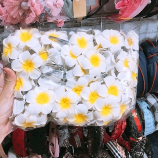 Hoa cài tóc hoa đại
