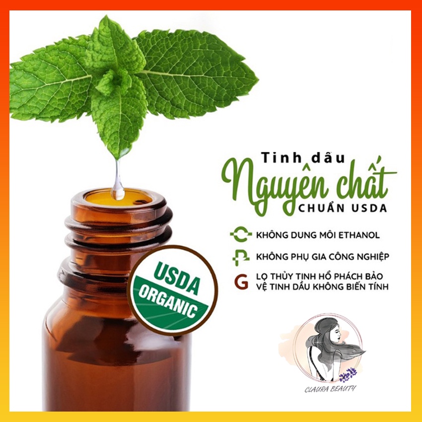 Máy Xông Tinh Dầu Tặng Kèm 1 Lọ 10ml Tinh Dầu Thư Giãn, Tinh Dầu Nguyên Chất Từ Thiên Nhiên CLAURA BEAUTY