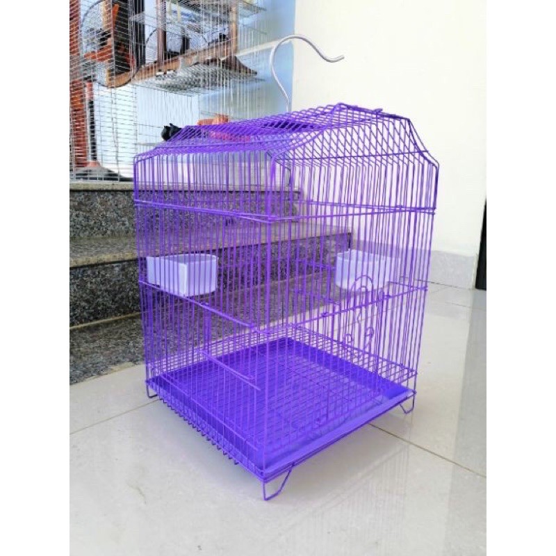 Lồng màu nuôi chim kiểng, sóc đất, manh manh, sắc nhật kèm áo