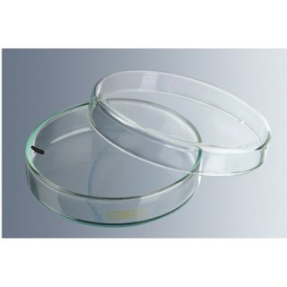đĩa petri thủy tinh phi 90 mm.  hàng đức
