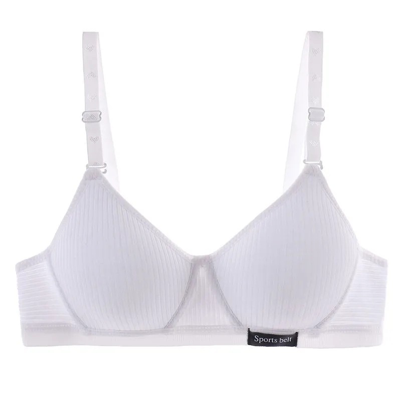 Áo Ngực Cotton Không Gọng Cúp Ngực