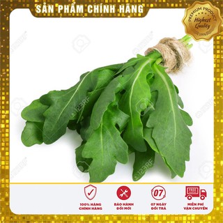 Hạt giống rau cải rocket cao sản
