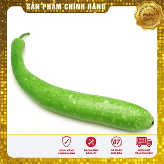 Hạt Giống Bầu Sao Trái Dài(10 hạt)