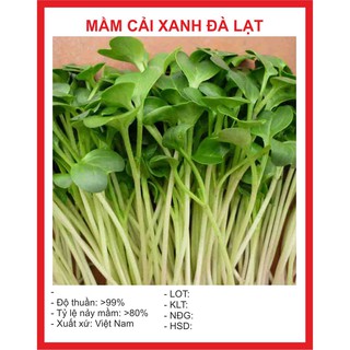 Hạt giống mầm cải xanh đà lạt - 50gr