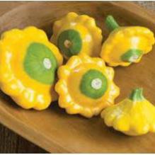 Hạt Giống Bí Đĩa Bay Vàng (Nhập Nguyên Gói Đài Loan)