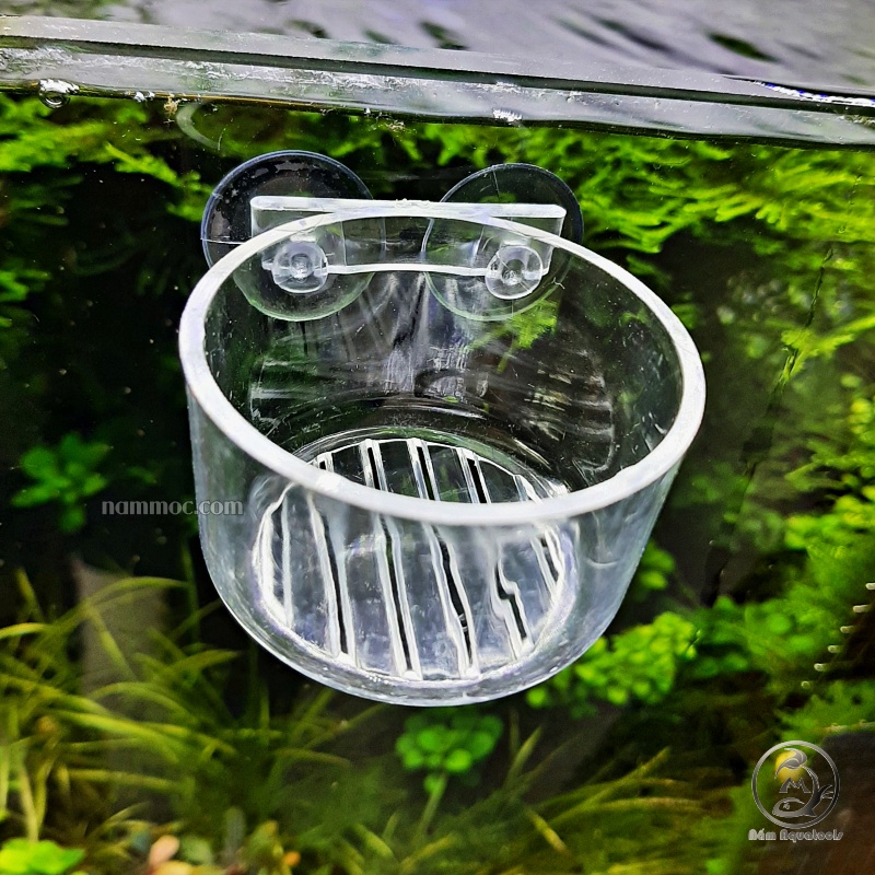Cốc Trùn Acrylic | Phễu Đựng Trùn Acrylic  - Phụ Kiện Cho Cá Ăn