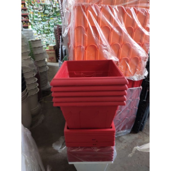 chậu nhựa trồng cây