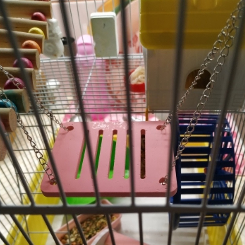 Đồ chơi xích đu luyện tập thể dục treo lồng dành cho vẹt/ chuột hamster