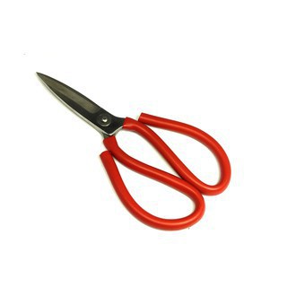 Kéo cắt gà loại tốt cỡ đại