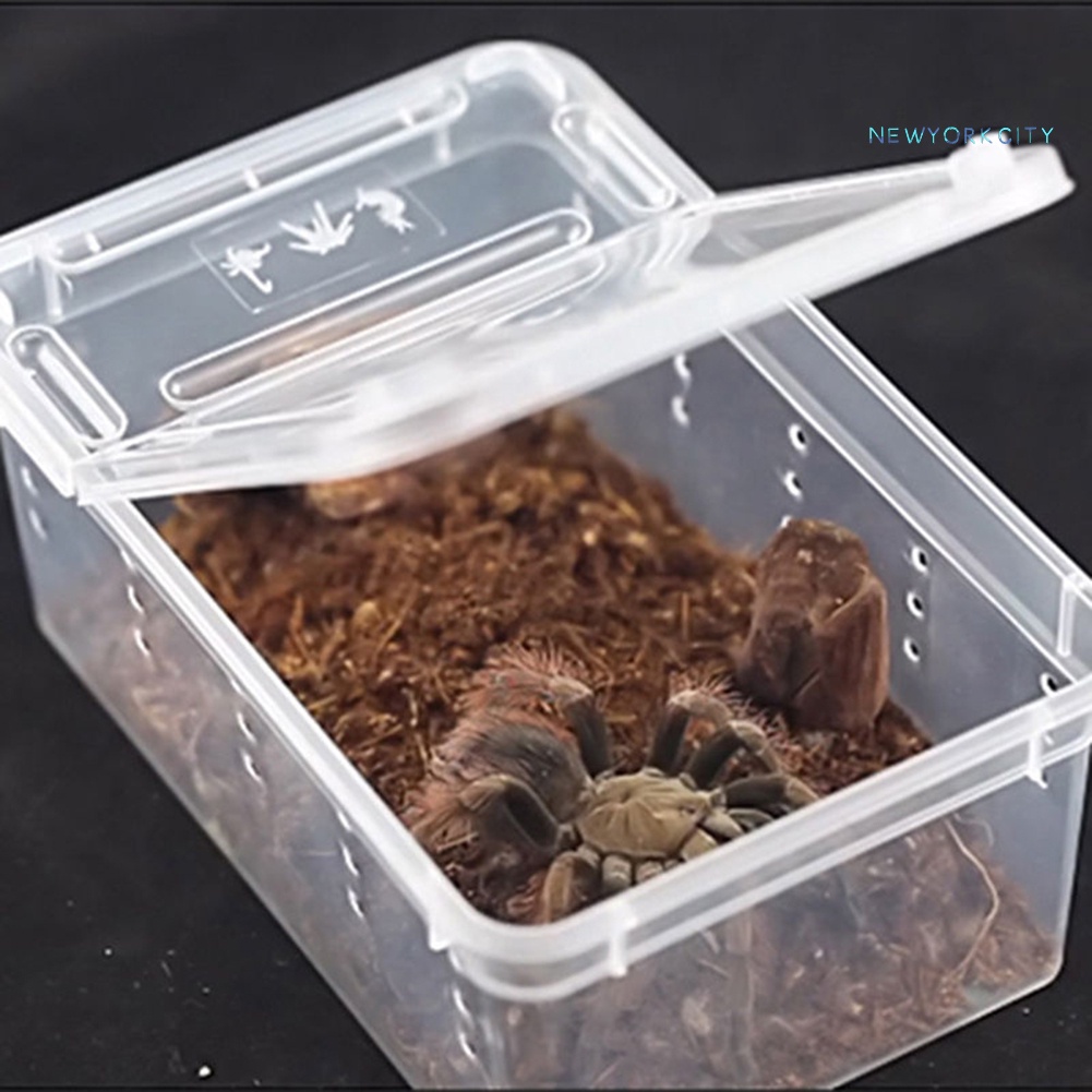 Hộp Đựng Thức Ăn Cho Thú Cưng Bò Sát Bằng Nhựa Trong Suốt Ốp