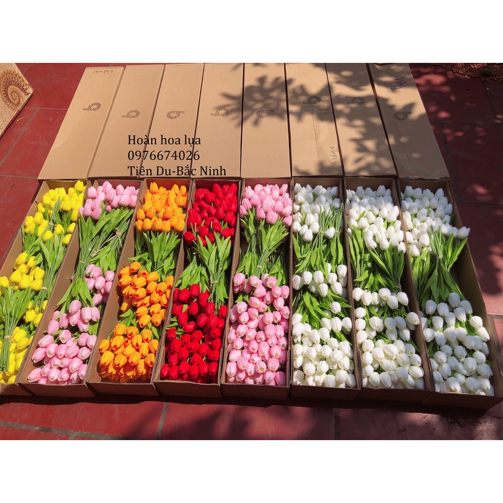 Hoa giả_hoa tuylip cao su cao 25cm có mùi thơm nhẹ, đẹp giống thật 99%