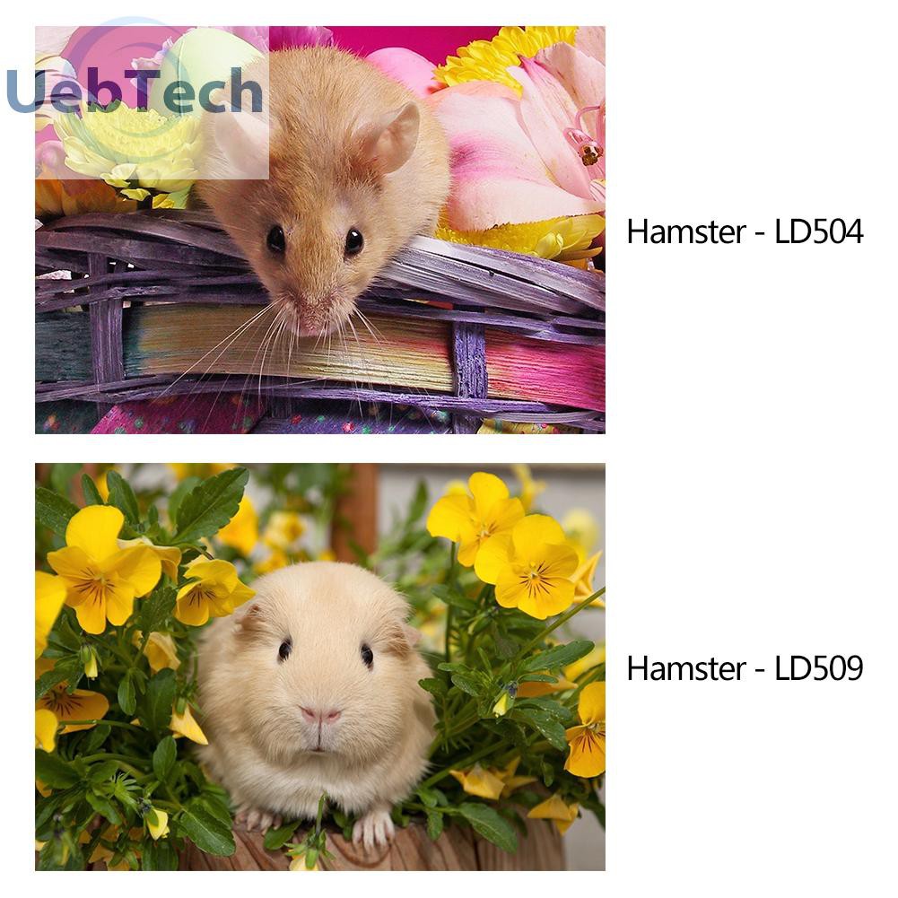 Tech Tranh Thêu Chữ Thập Khảm Đá Hình Chuột Hamster Đáng Yêu