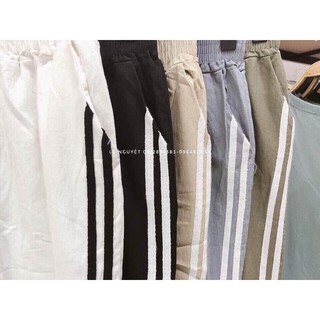 Quần baggy thô phối sọc cực hot