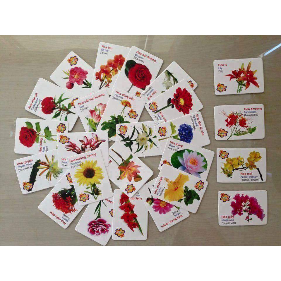 ⛔FREESHIIP⛔ Bộ thẻ học cho bé gồm 416 thẻ --16 chủ đề