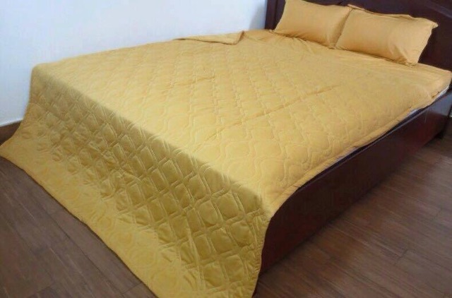 Trọn bộ ( 2 áo gối+1 áo ôm+ drap khổ 1m6x2m) thun Hàn Quốc | BigBuy360 - bigbuy360.vn