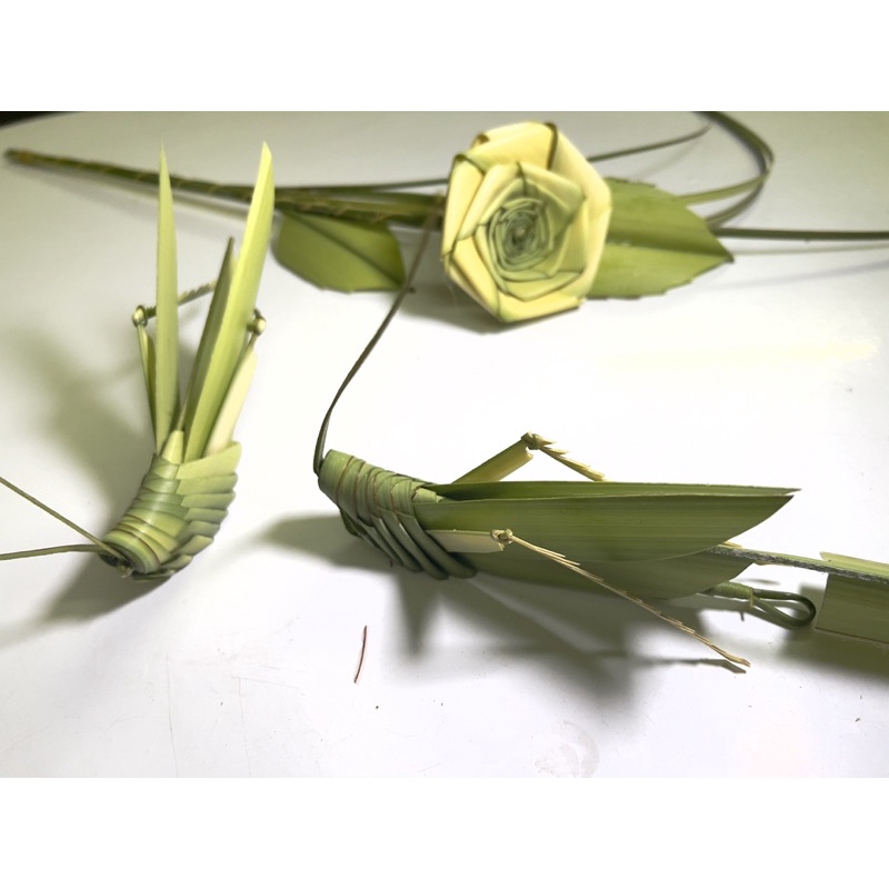 Cào Cào Lá Dừa /Đồ Chơi An Toàn /Quà Tặng/HandMade