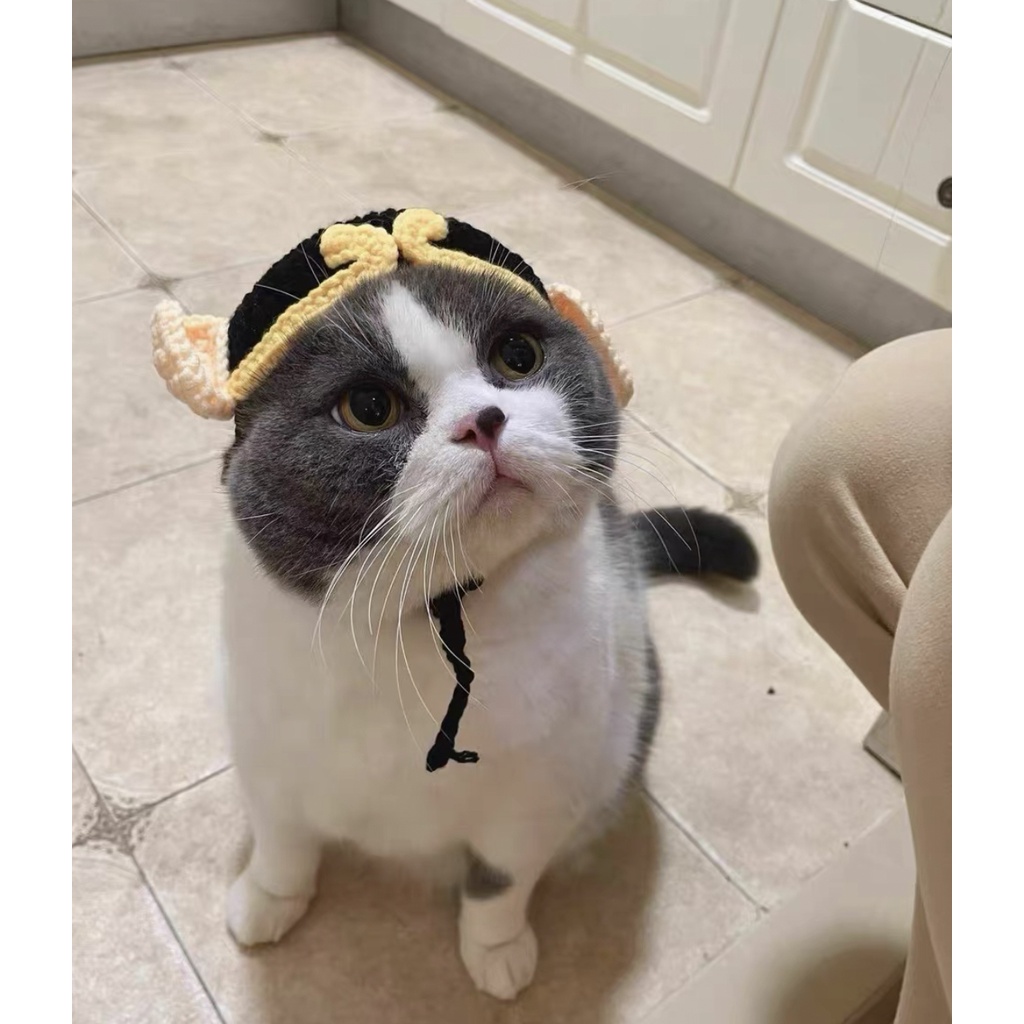 Mũ cosplay trư bát giới Tây Du Ký, mũ len handmade cho chó mèo CHILLMEOW